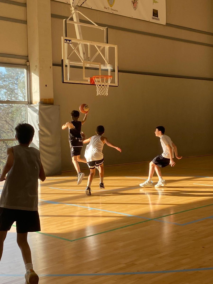 Basketbasko tweet media