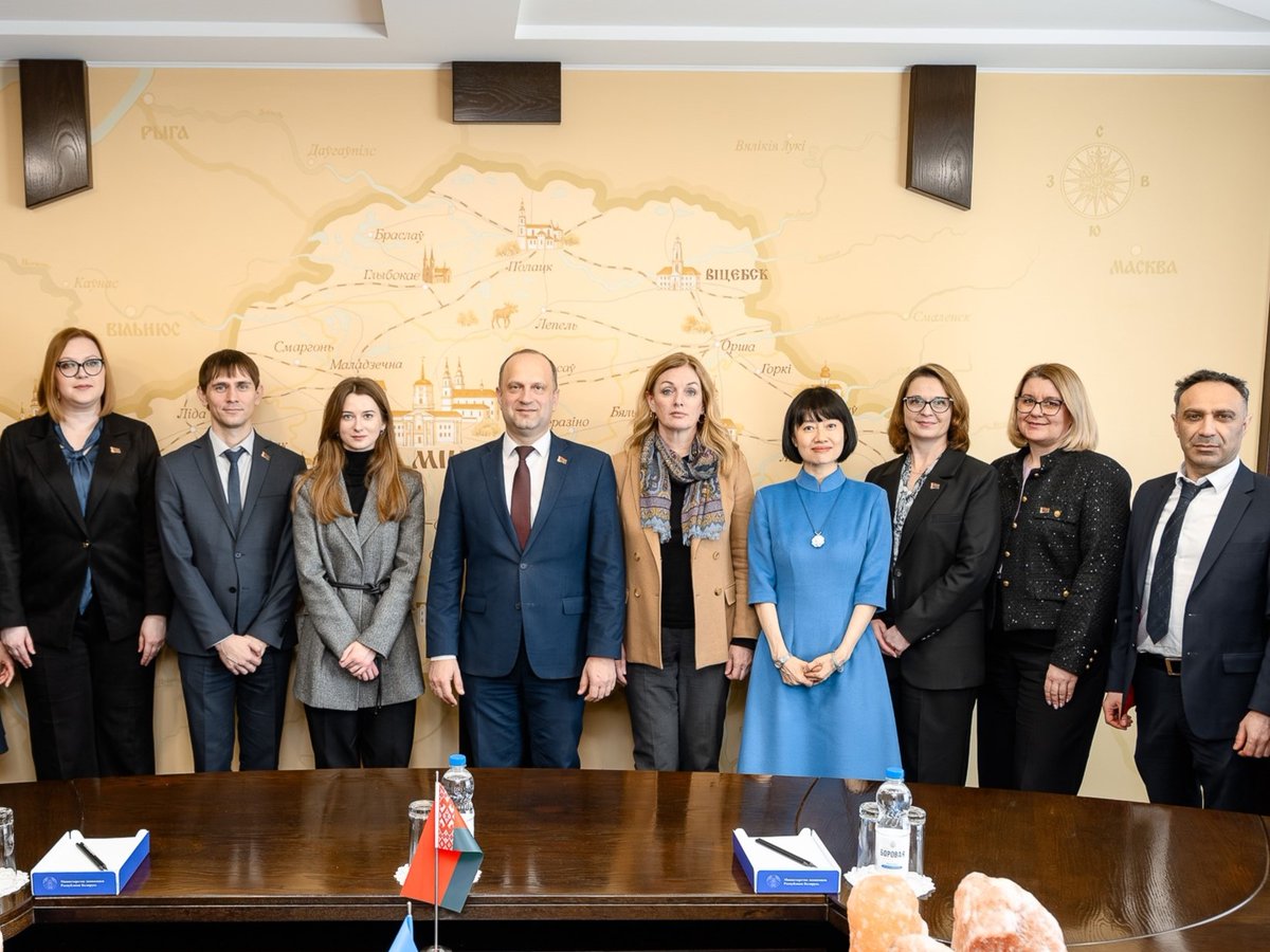 UNDP Belarus tweet media