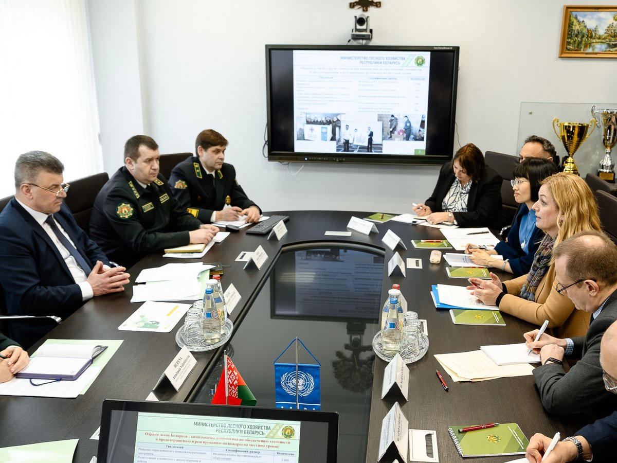 UNDP Belarus tweet media