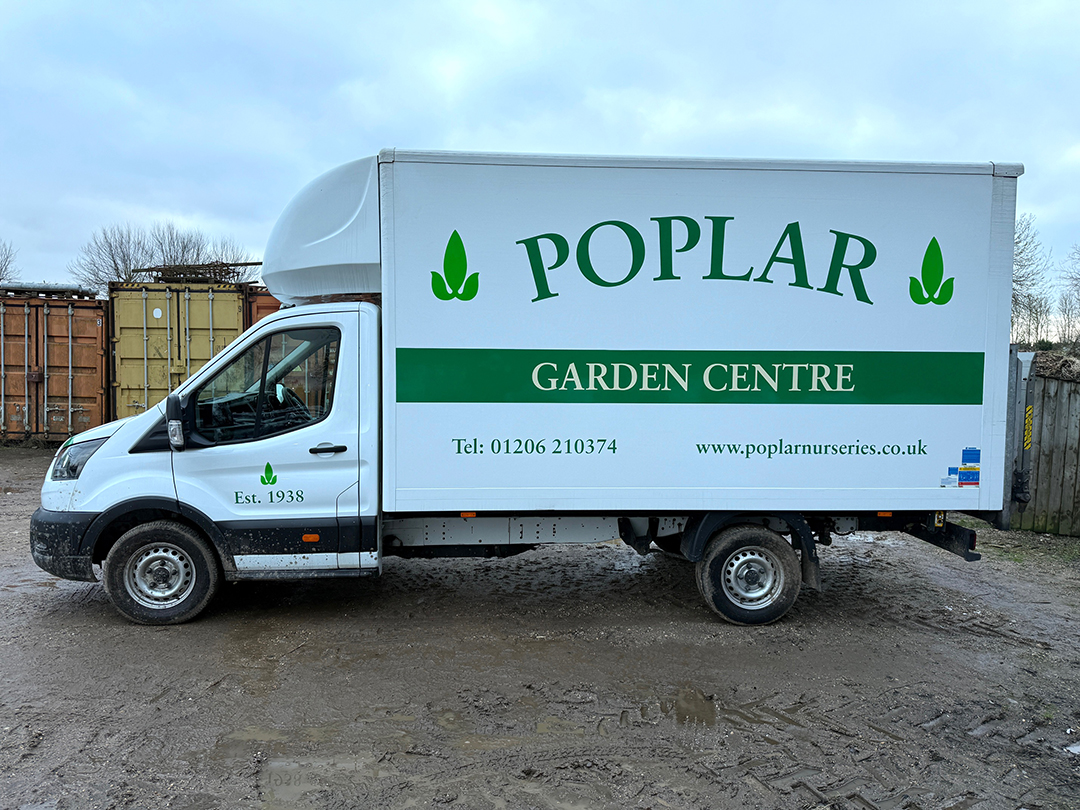 Advance Digital Graphics tweet media