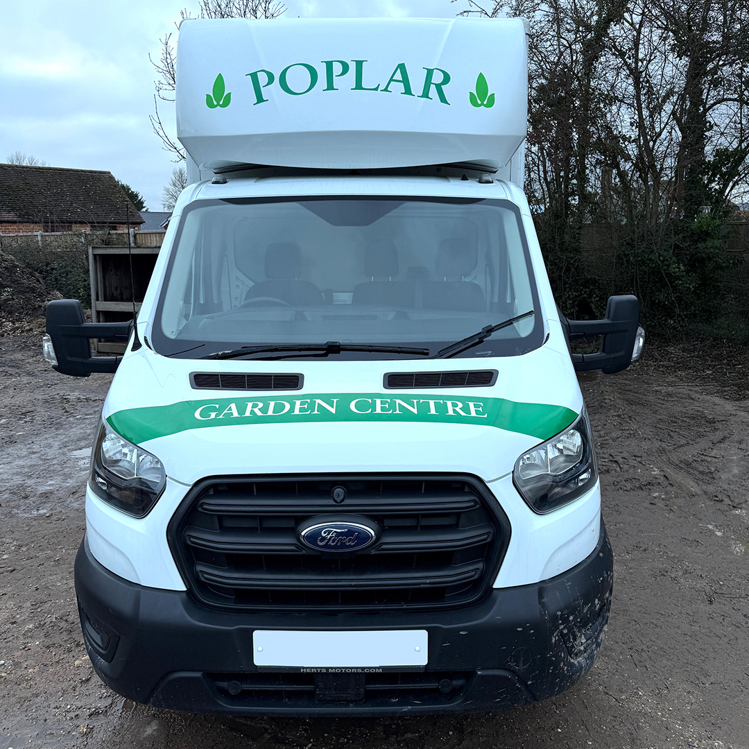 Advance Digital Graphics tweet media