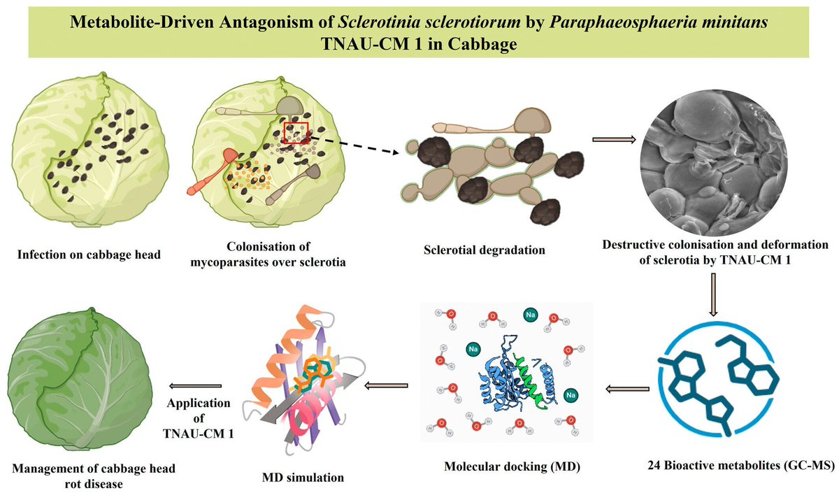 Microbial Biotechnology (MBT) tweet media