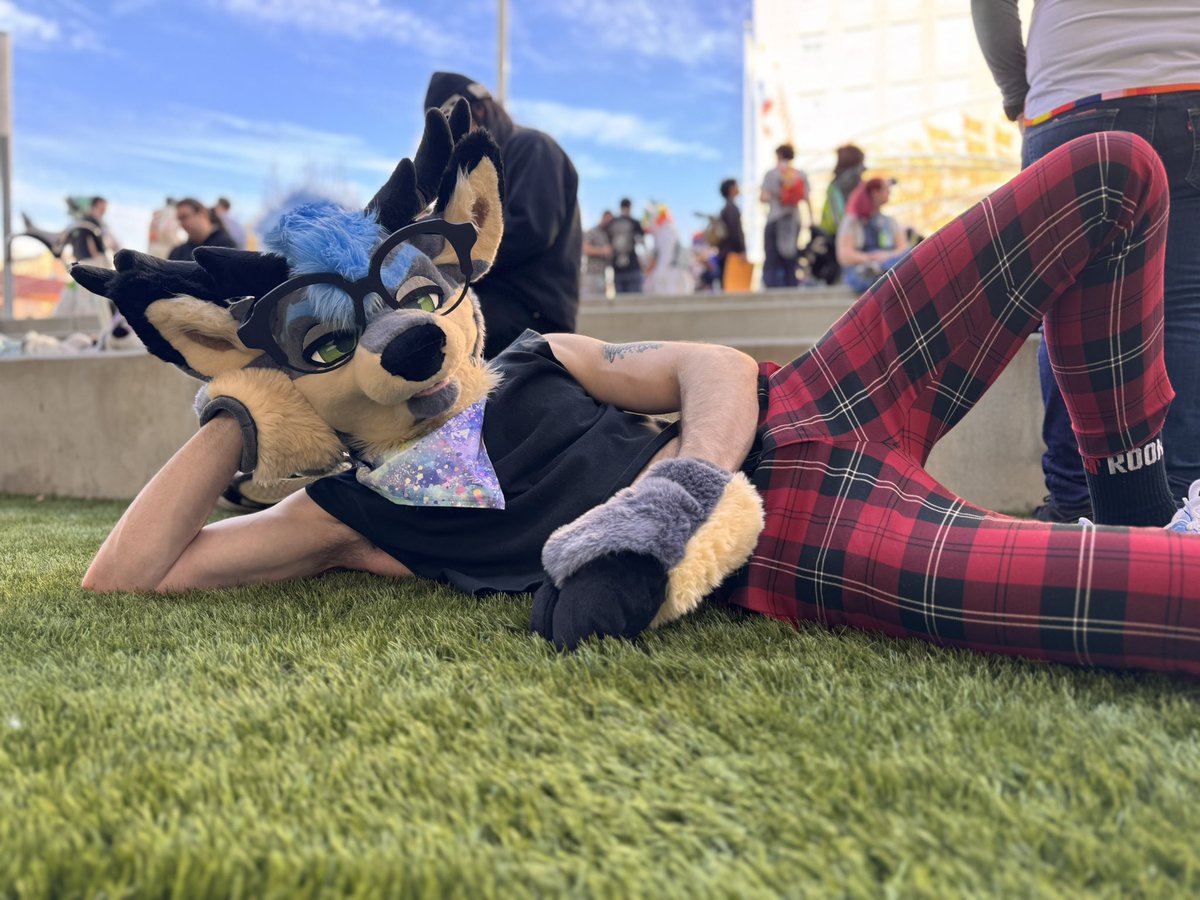 Wander🔜LVFC tweet media