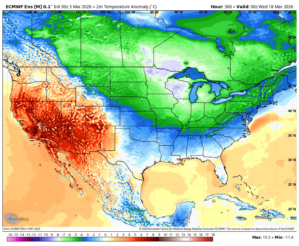 Zachary Hall tweet media