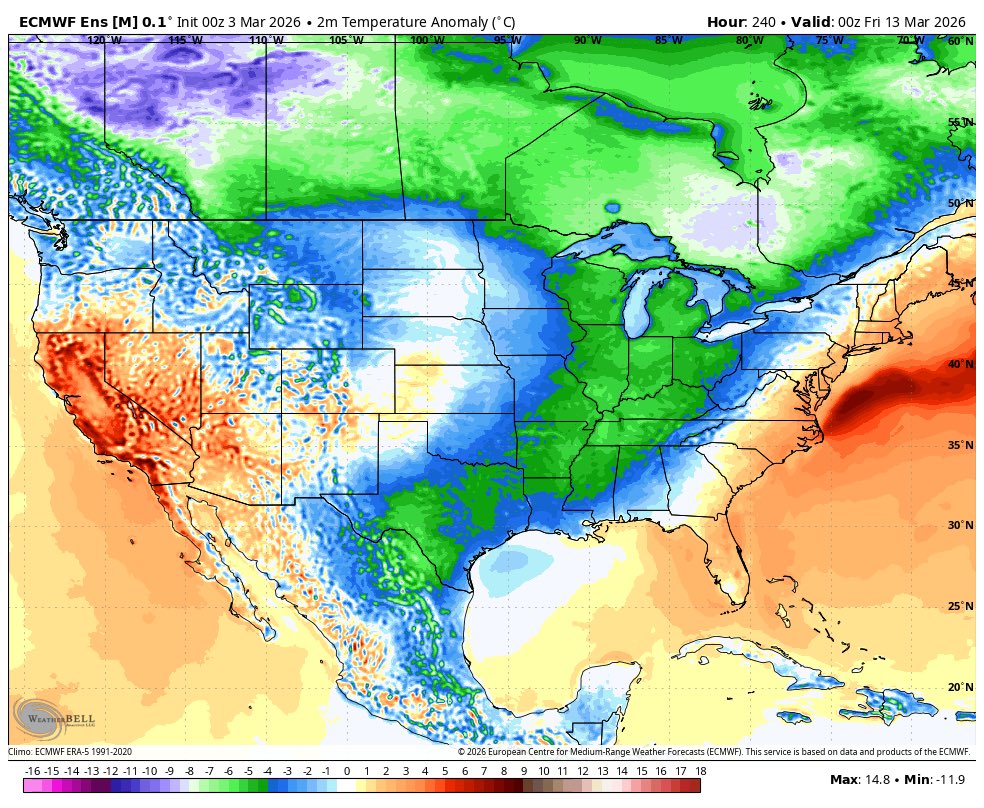 Zachary Hall tweet media