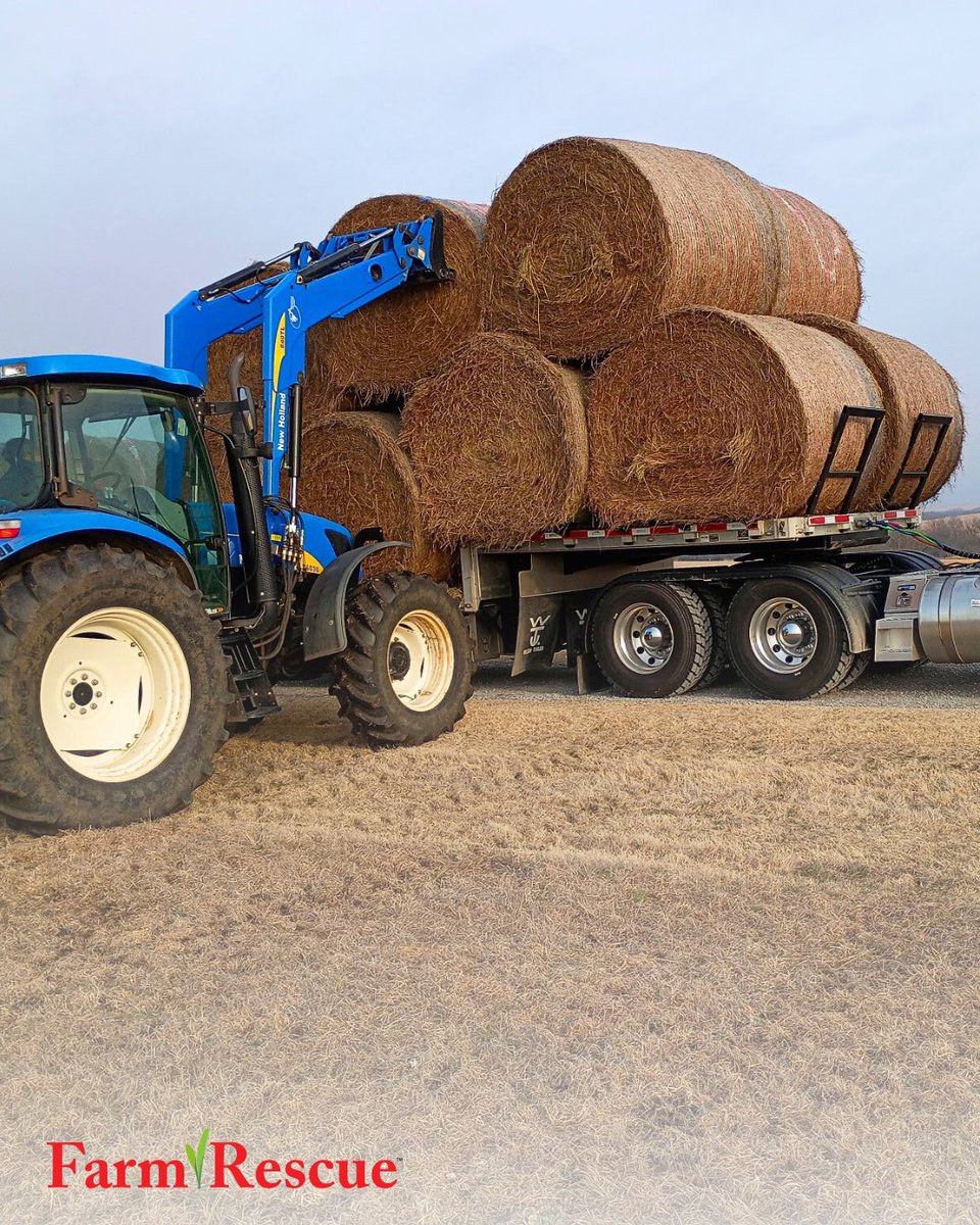 Farm Rescue tweet media