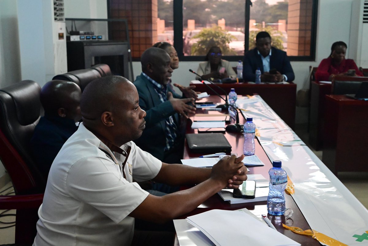 Protection International tweet media