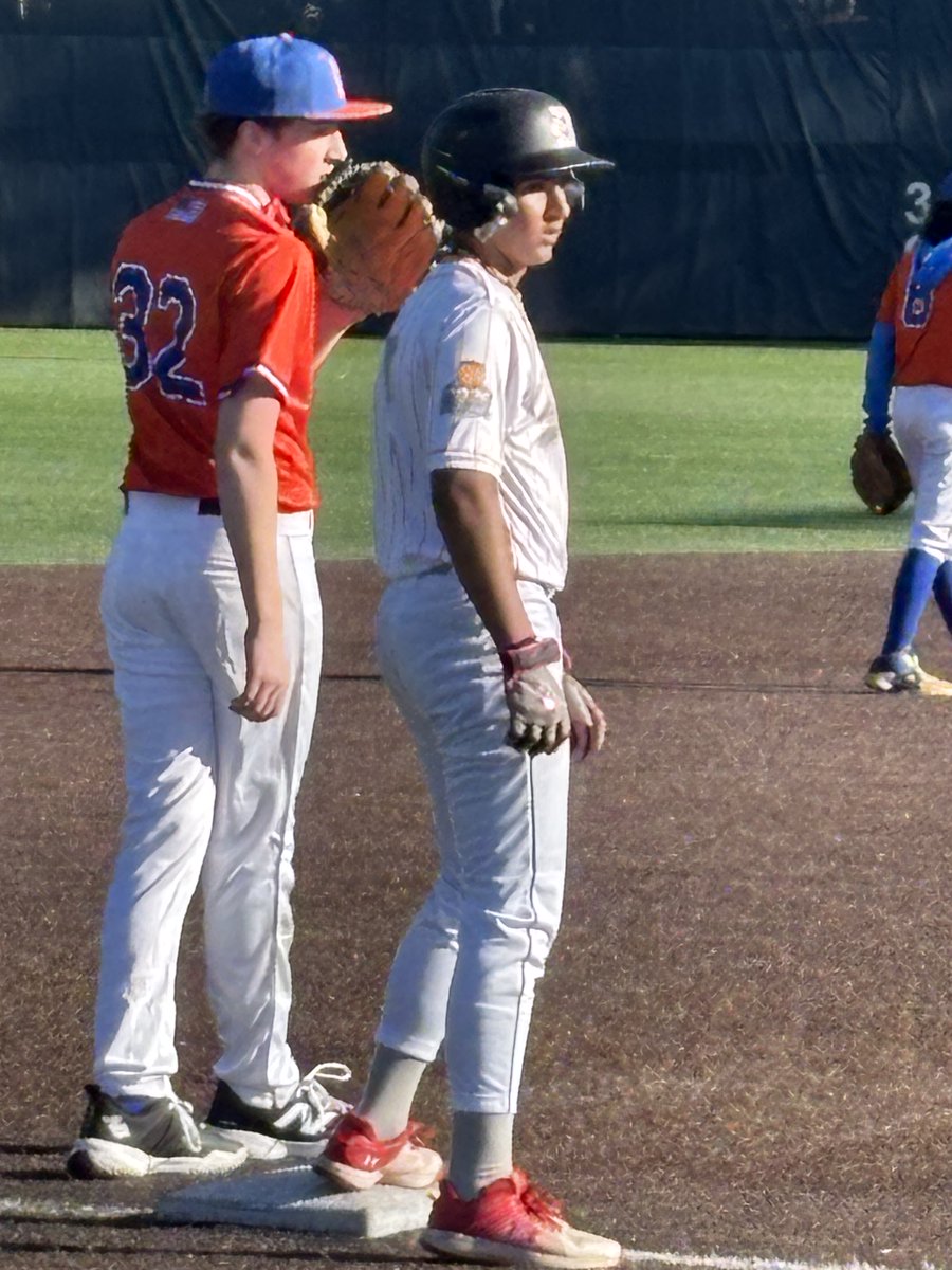 KF -Killer Flamingos Baseball - National tweet media