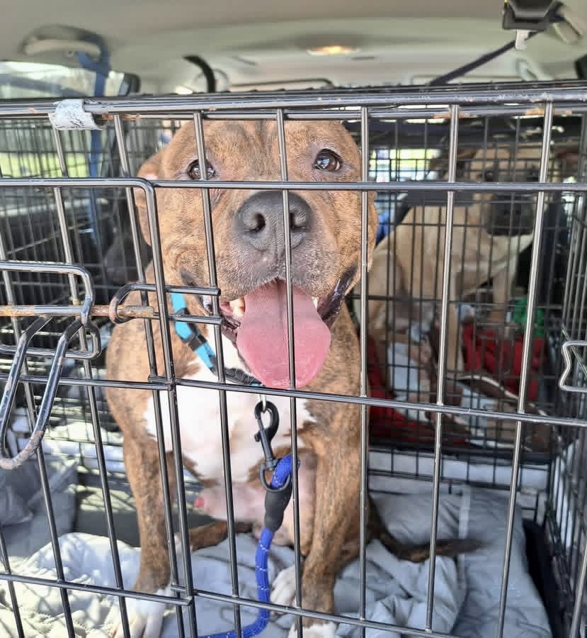 Donna Lac tweet media