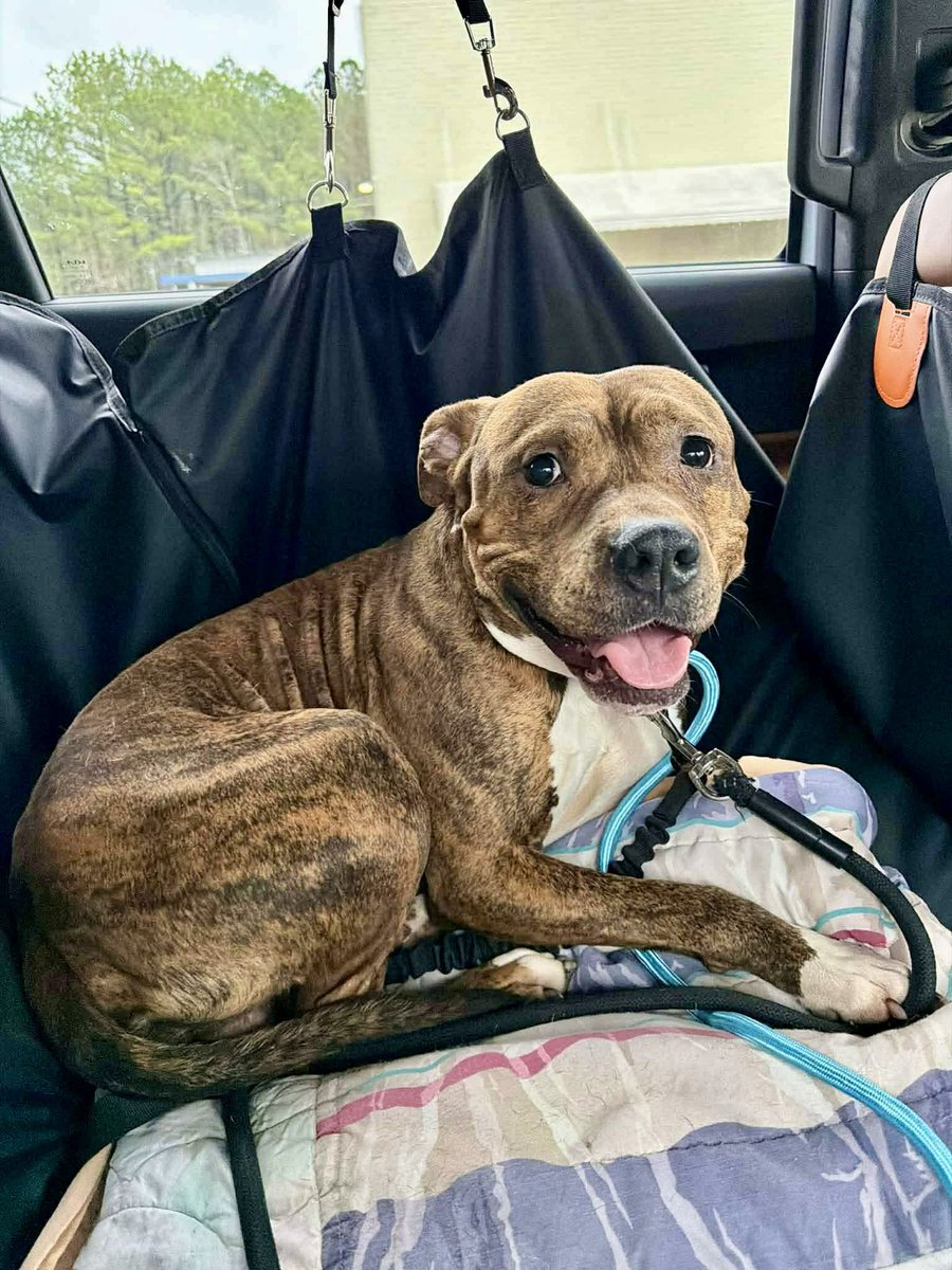 Donna Lac tweet media