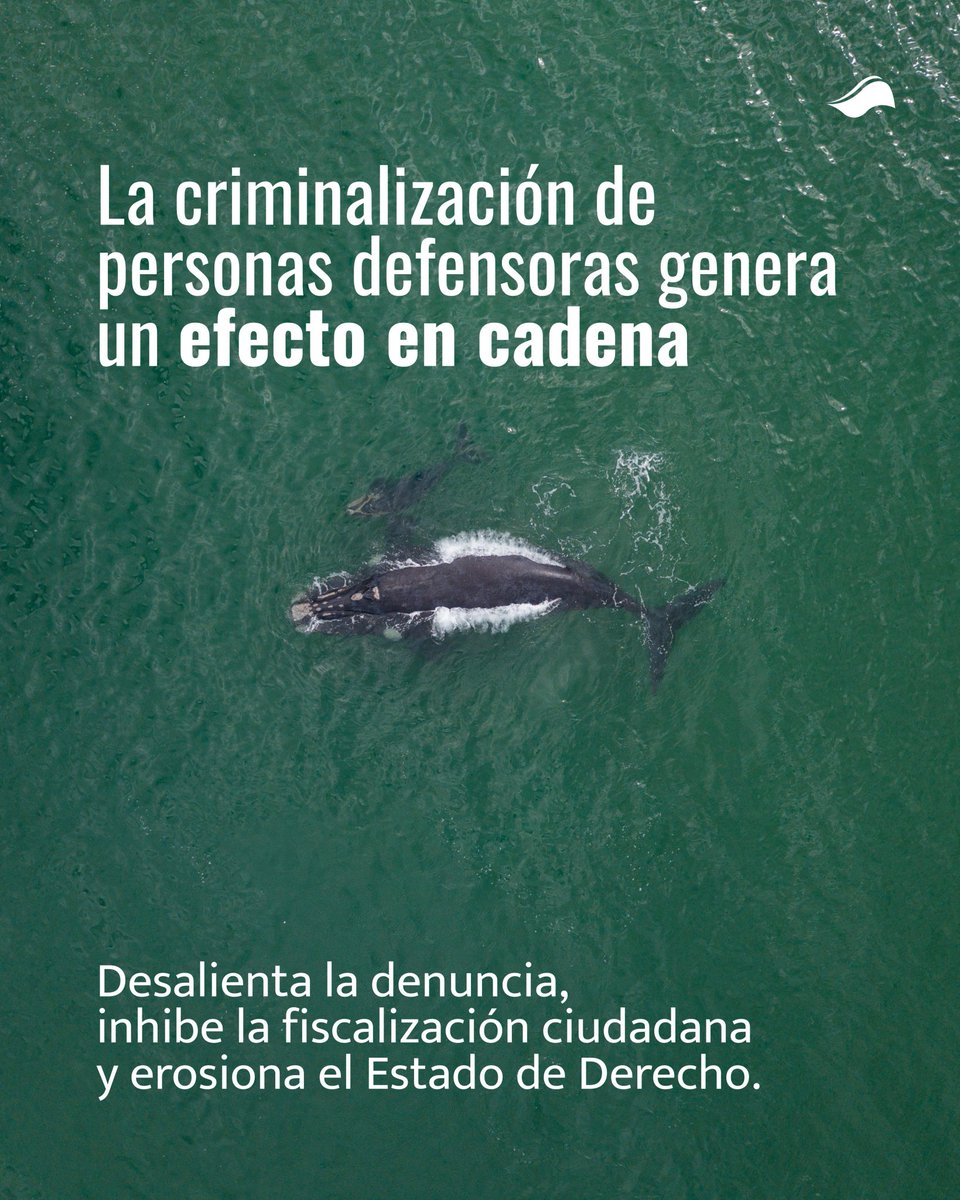 CIAM Panamá tweet media