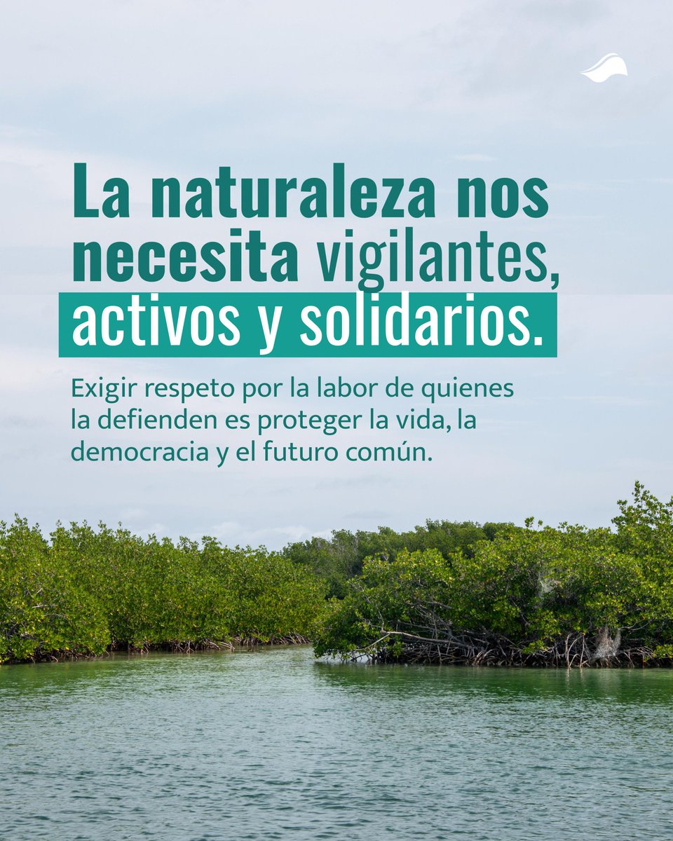 CIAM Panamá tweet media