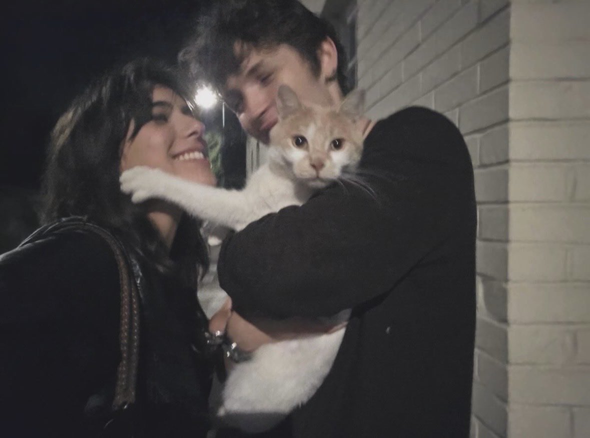 Miaw tweet media