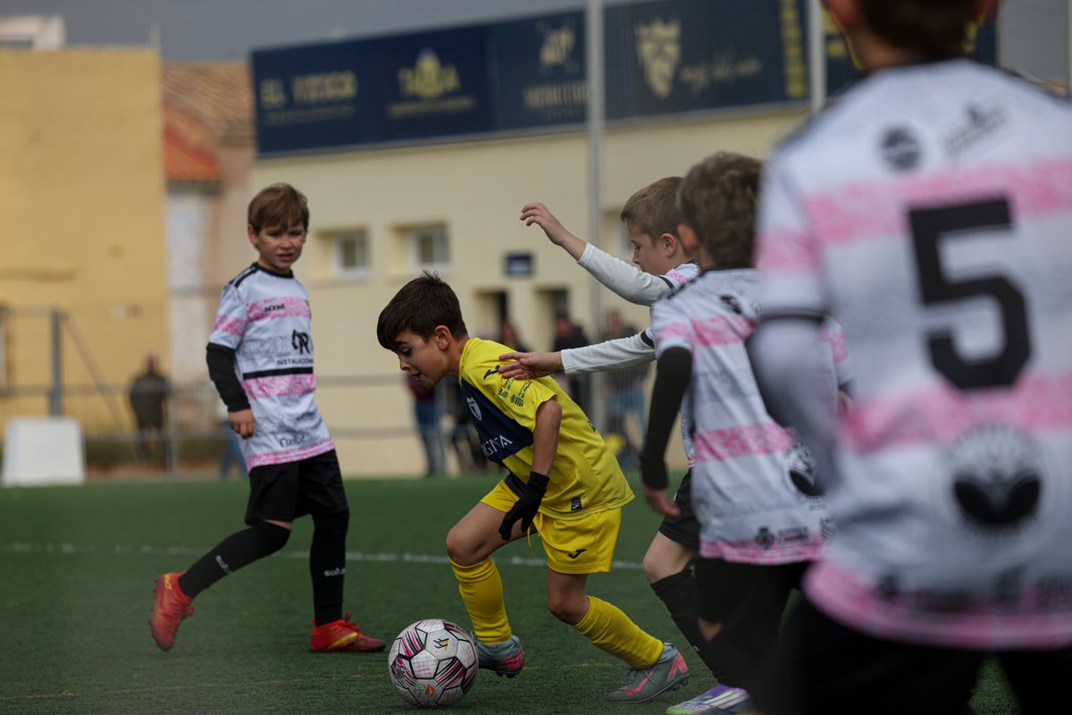 Alqueries C.F. tweet media