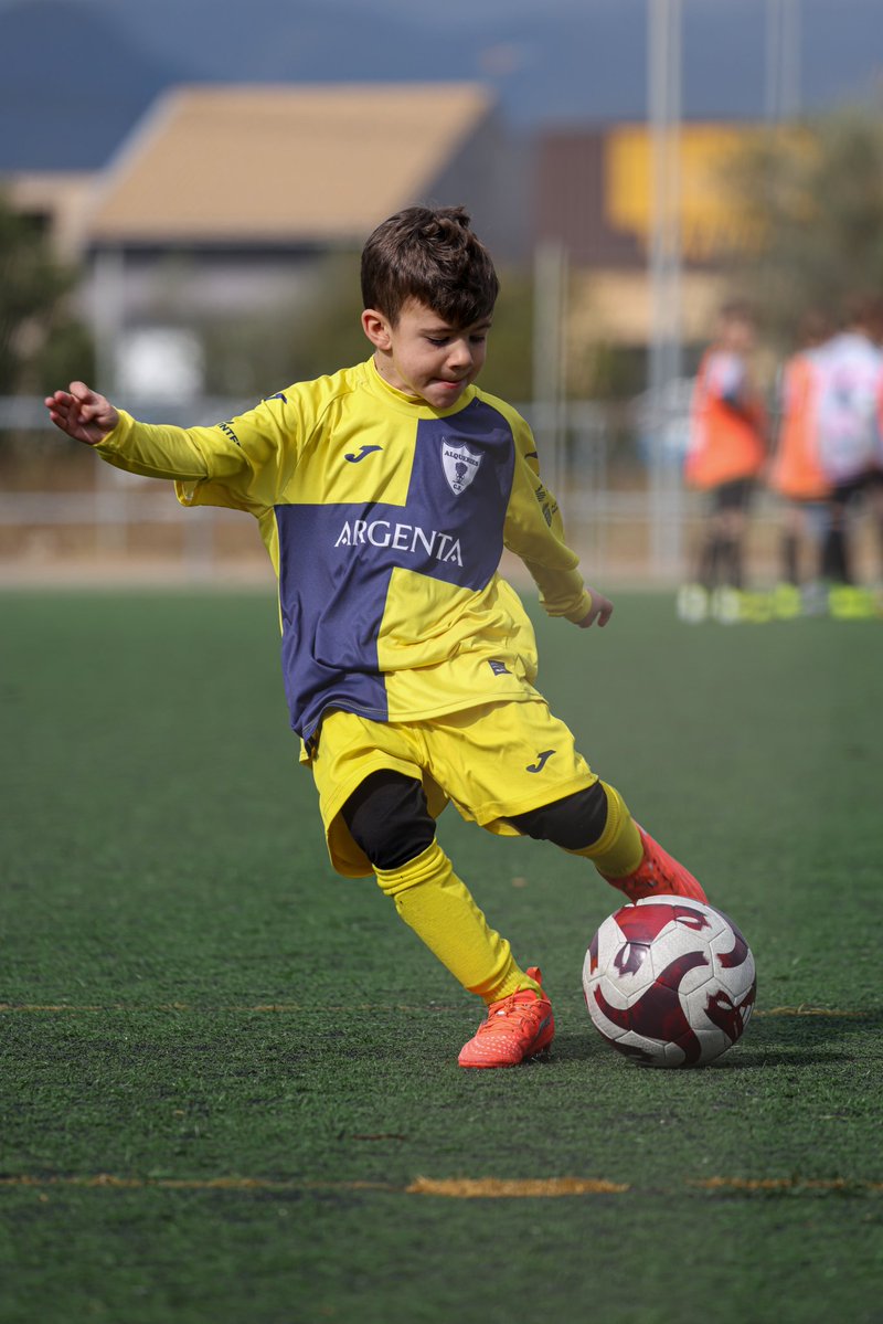 Alqueries C.F. tweet media