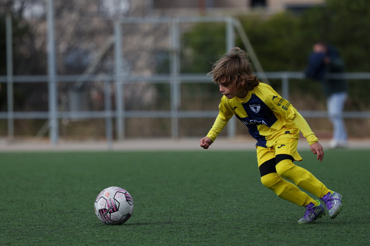 Alqueries C.F. tweet media