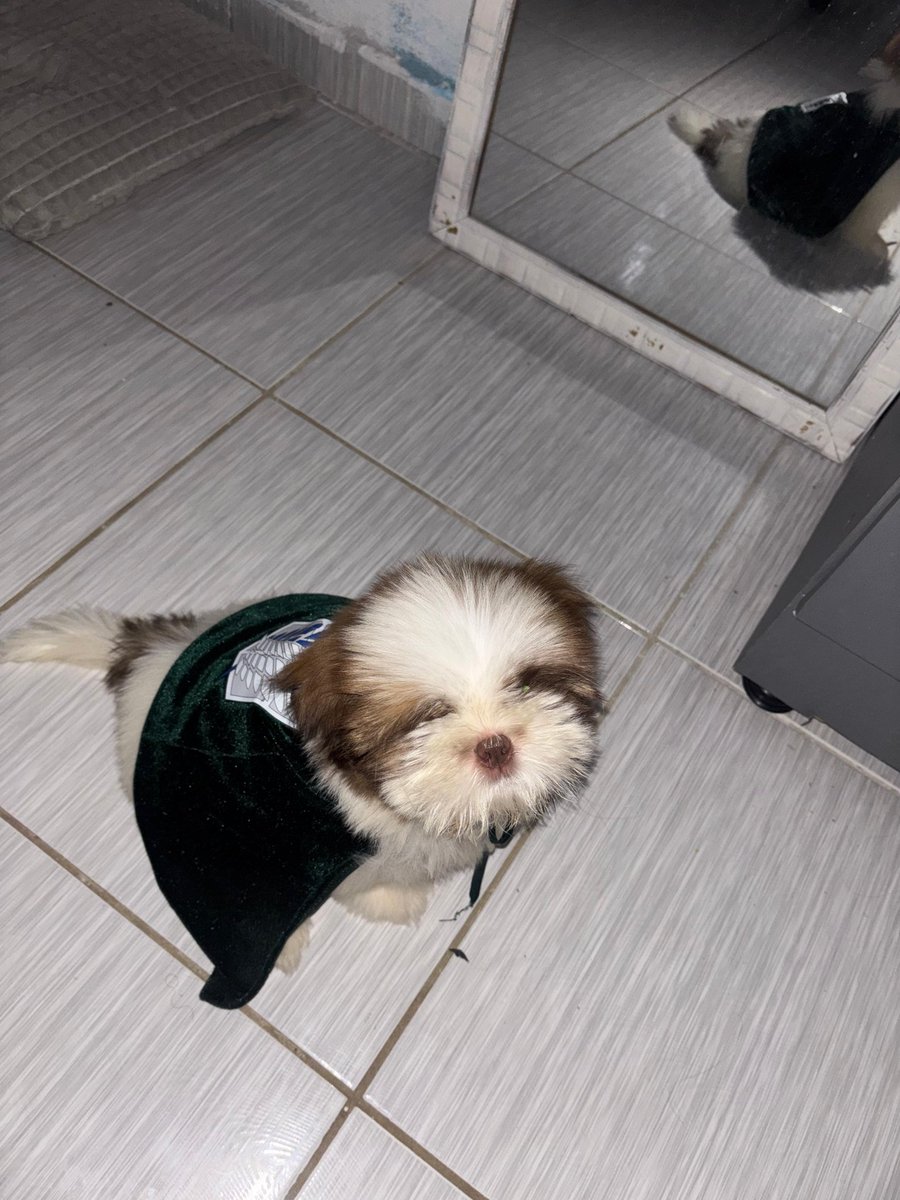 Tão novo e já vai derrubar titã