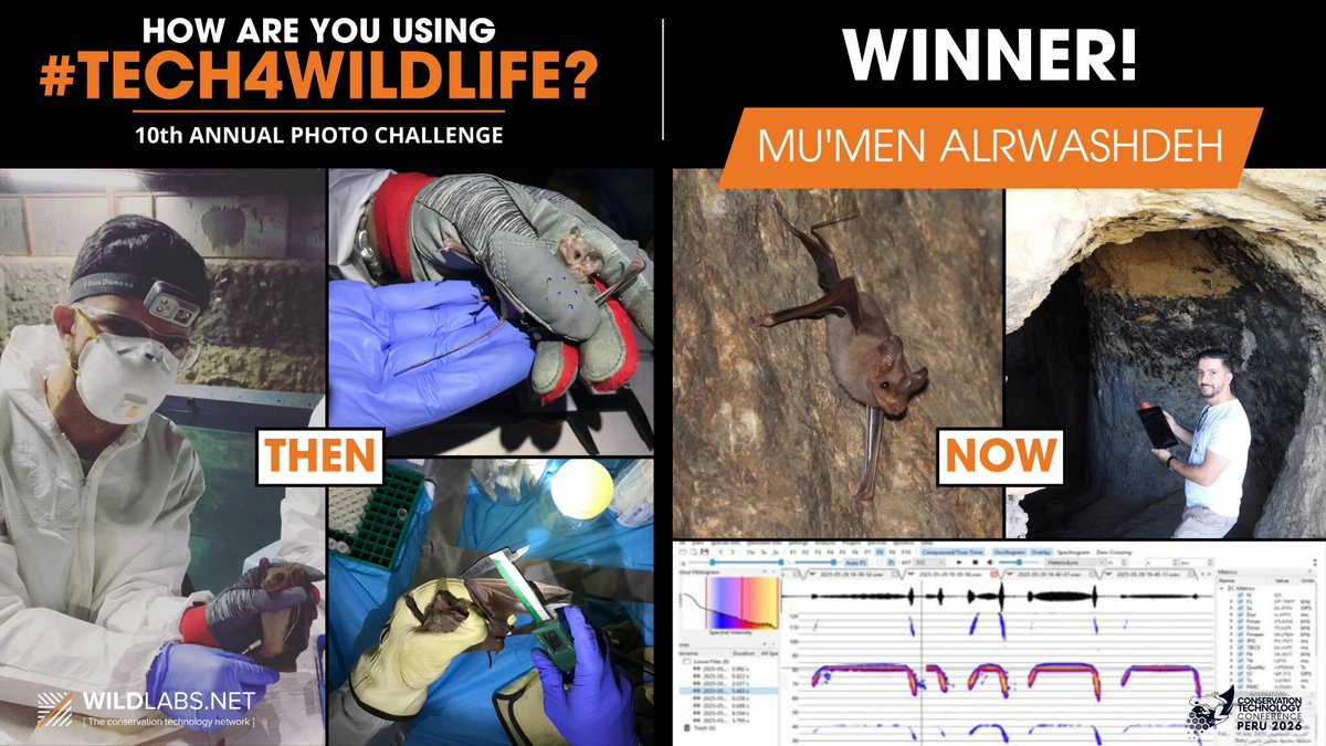 WILDLABS Community tweet media