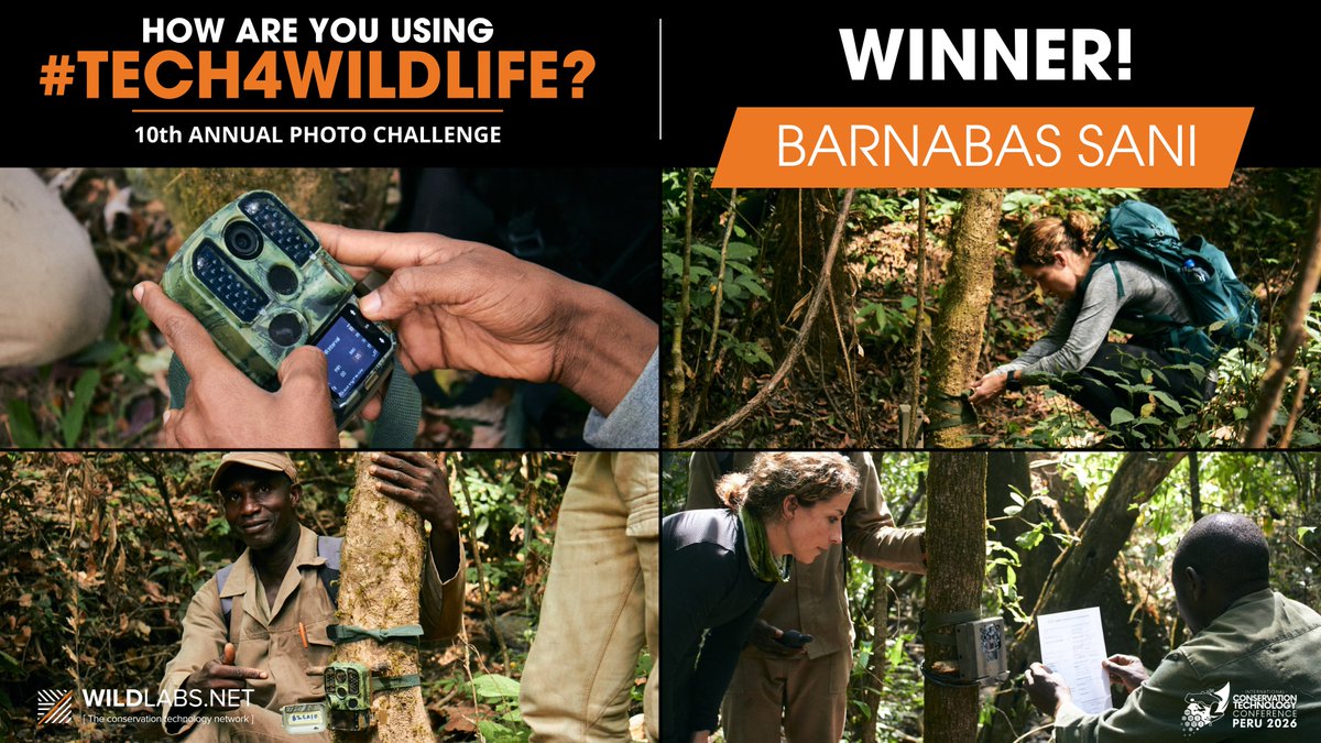 WILDLABS Community tweet media