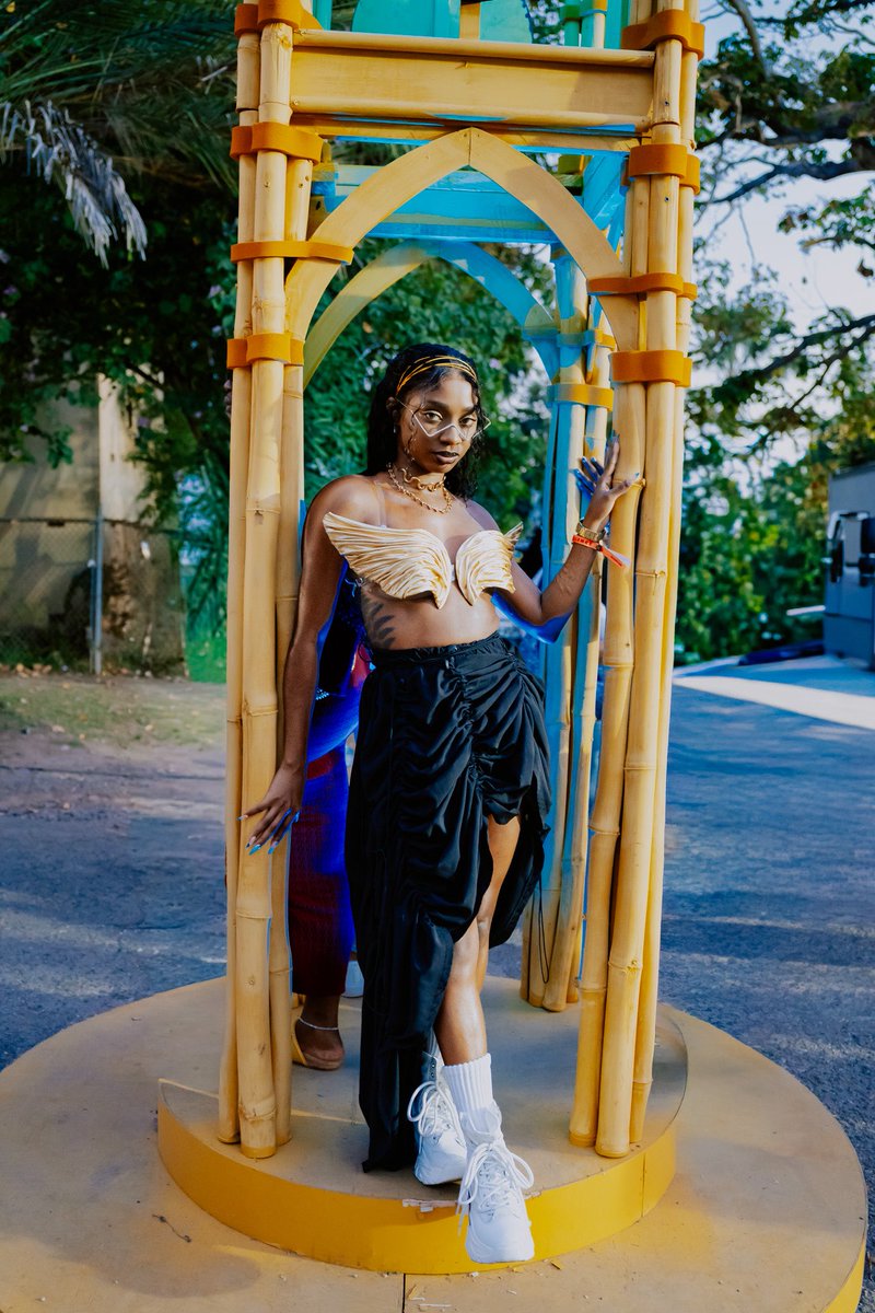 Rogue 876 tweet media