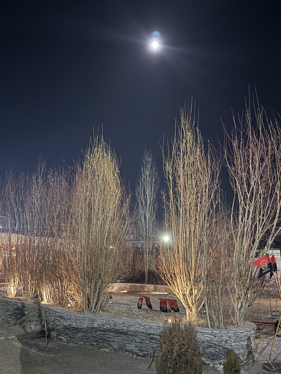 Somewhere in Leh, the moon sighs for the flowers to bloom .