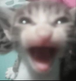 oi enem usp por favor me chama na lista de espera enem usp por favor