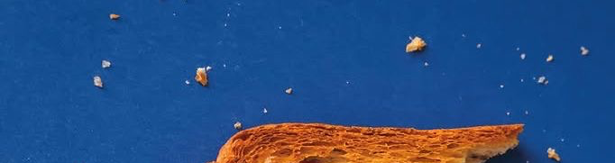 ..تـركـيـه 🎀 tweet media