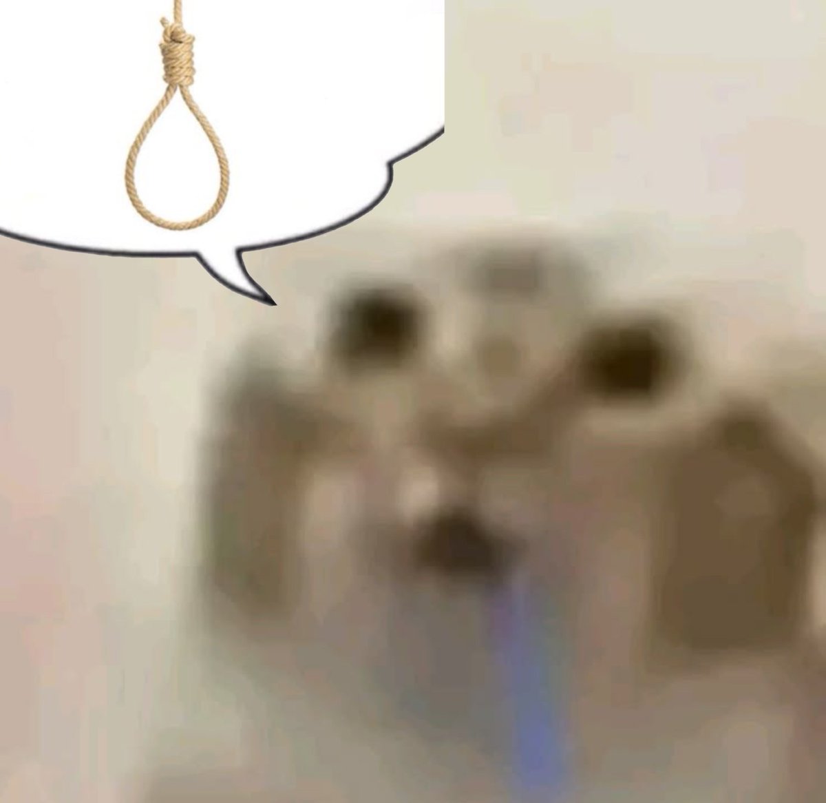 seki 🫀 (@bl9edings) on Twitter photo 