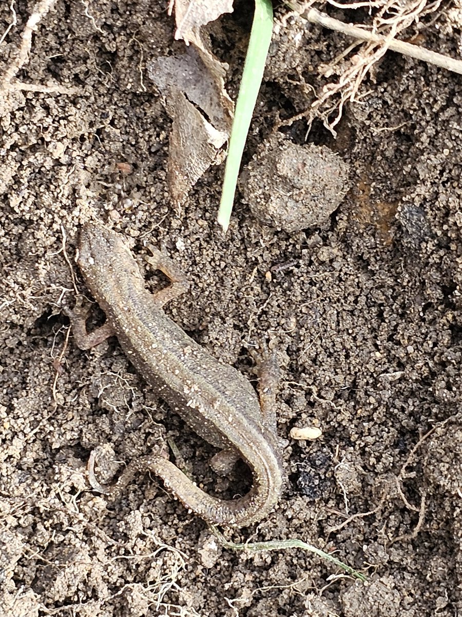 Keith McAdam 🏴󠁧󠁢󠁳󠁣󠁴󠁿 tweet media