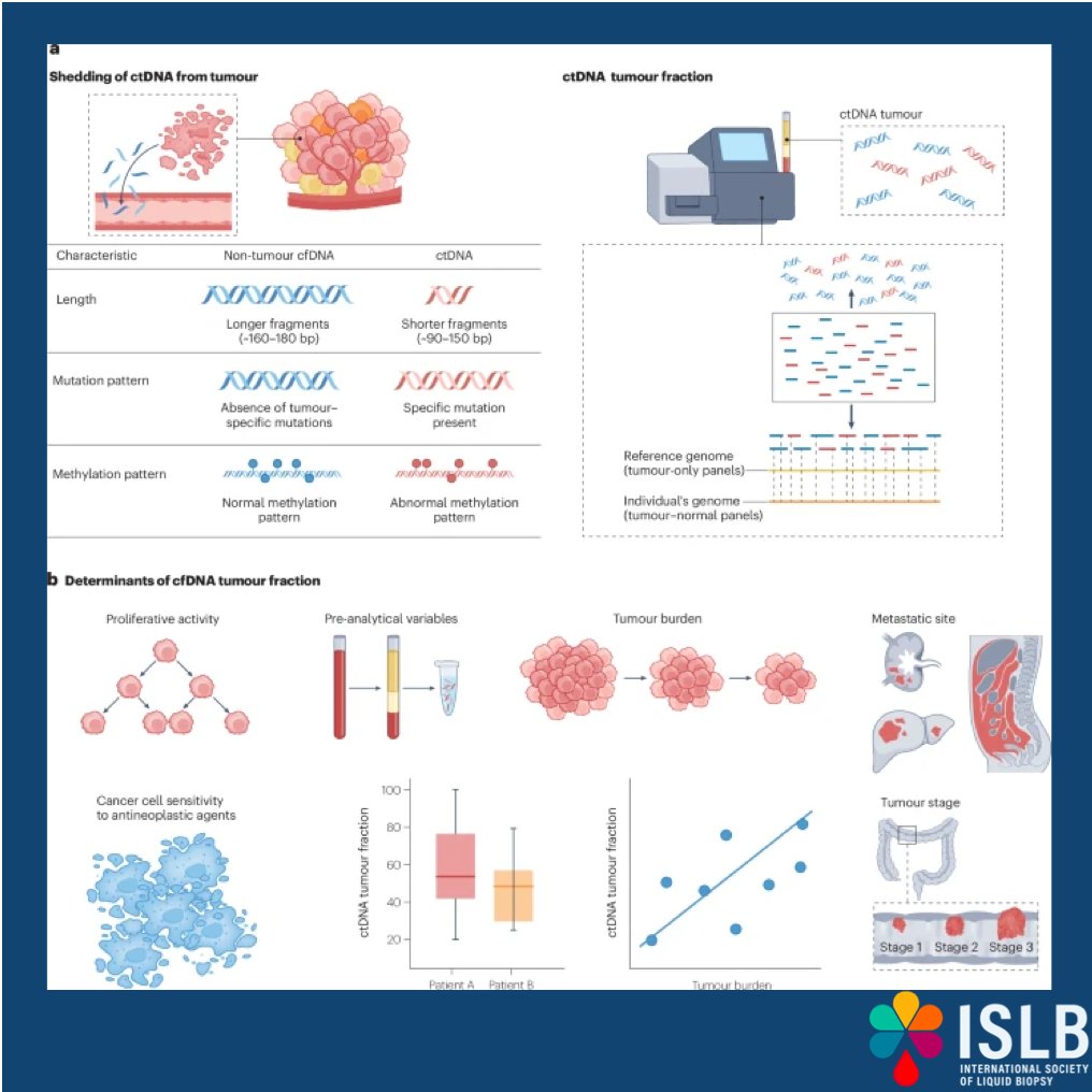 isliquidbiopsy's tweet photo. ctDNA in colorectal cancer is no longer “one test, one time.” A recent @NatureRevCancer  Clinical Oncology review summarizes how liquid biopsy is becoming a longitudinal tool, supporting diagnosis, treatment selection, response monitoring, resistance profiling, and postoperative risk stratification.

🧬 In metastatic CRC, plasma ctDNA can capture tumour heterogeneity better than a single-site biopsy and allows serial tracking of clonal evolution, useful for resistance monitoring and for anti-EGFR selection/rechallenge.

🩸 In earlier-stage disease, postoperative ctDNA is a strong prognostic marker and is being evaluated to guide adjuvant escalation or de-escalation strategies.

⚠️ Interpretation still needs rigor, ctDNA detection depends on tumour fraction and shedding (so “negative” isn’t always “no disease”), and clonal hematopoiesis (CHIP) can drive false positives.

📌 Take-home: not tissue vs plasma—smart integration with standardized workflows will be key for clinical adoption.

@UmbertoMalapel1  
@ElJanLe @DrYukselUrun  @drgandara @MJOSESERRANO19
@ChristianRolfo  @ErulEnes @ReduzziCarol @RobertoBoreaMD
@jlb_islb @ddemiguelperez @PasqualePisapia
@Al3ssandroRusso @eleonora_nicolo @DrMirallas 

#ISLB #LiquidBiopsy #ctDNA #ColorectalCancer #MRD #PrecisionOncology