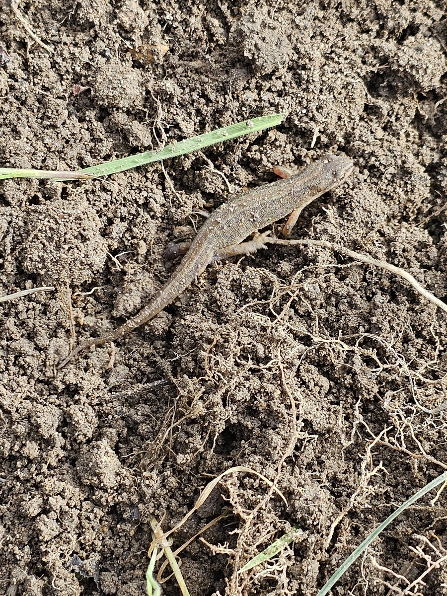 Keith McAdam 🏴󠁧󠁢󠁳󠁣󠁴󠁿 tweet media