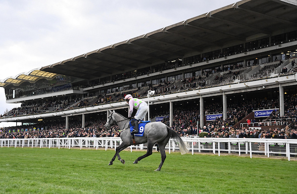 WillieMullinsNH's tweet photo. T-minus 7 days ⏳ Cheltenham week is nearly upon us 🏆 Let’s have it! 🍀

📸 @patcashhealy https://t.co/qnPY5eihHr