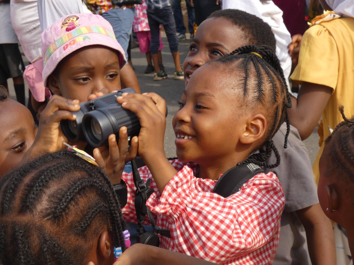 IITA Forest Center tweet media