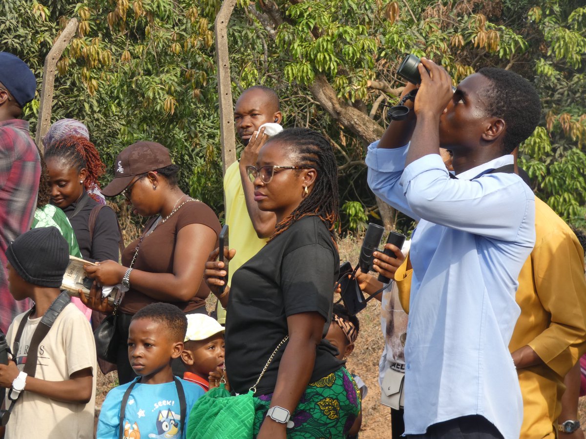 IITA Forest Center tweet media