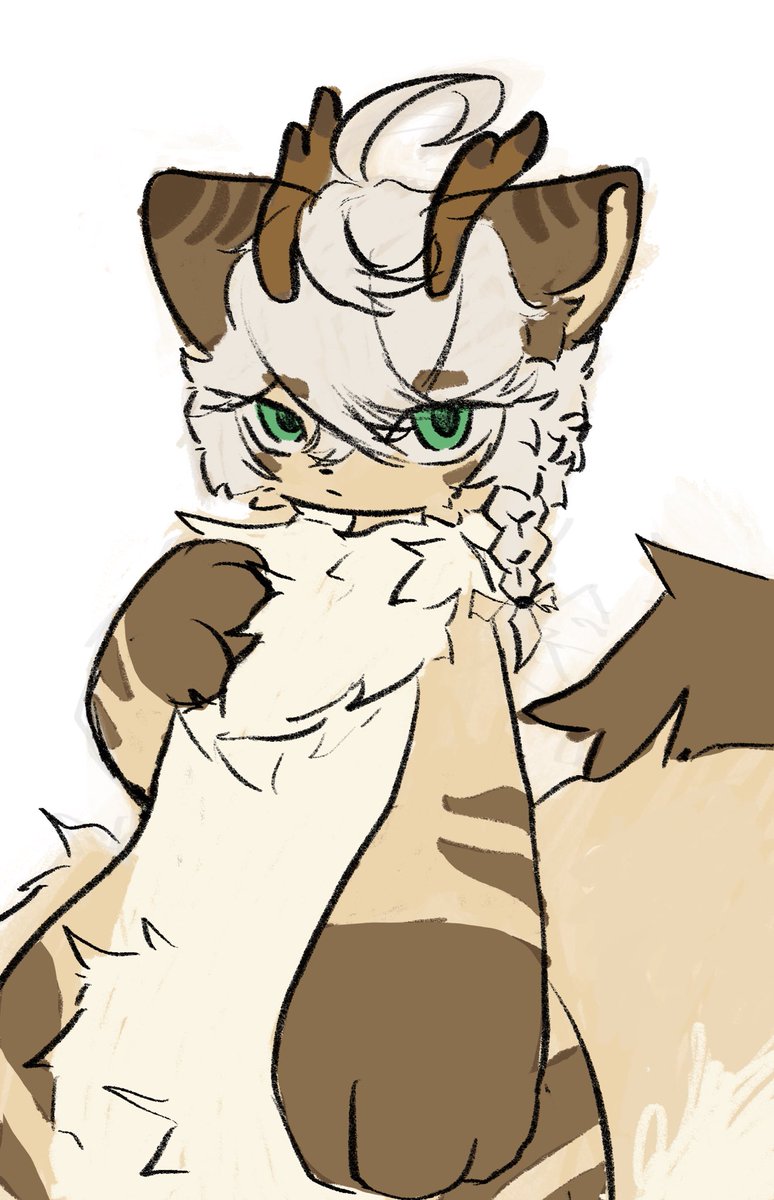 Luther with a fresh cut, antlers and extra fluff