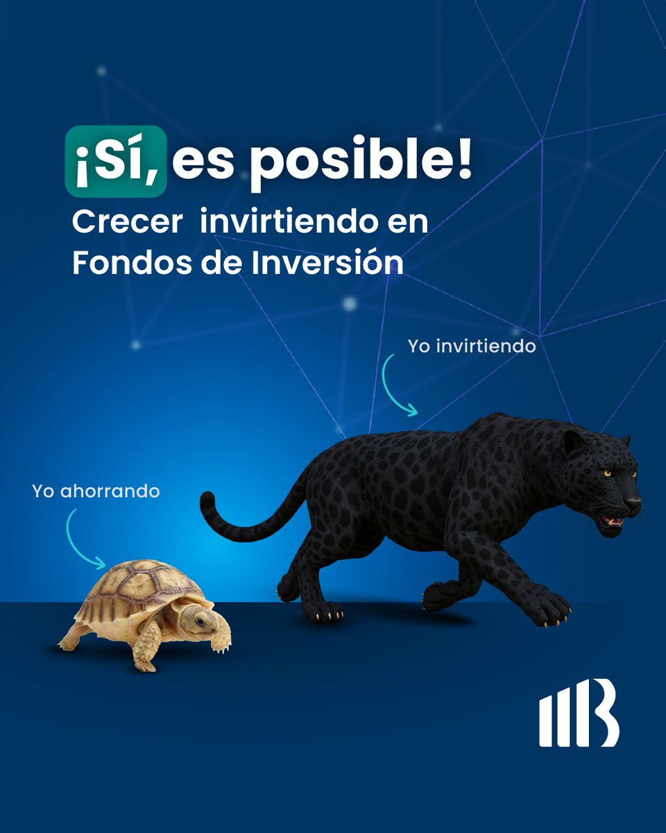Impulsa el crecimiento de tu dinero con Fondos de Inversión, con enfoque y constancia, junto a la Bolsa de Valores de El Salvador.

👉 Contacta una gestora
📲 Descarga Bolsa Móvil
👉 Regístrate: bit.ly/siscvinculacion

#BolsaDeValores #ElSalvador #FondosDeInversión