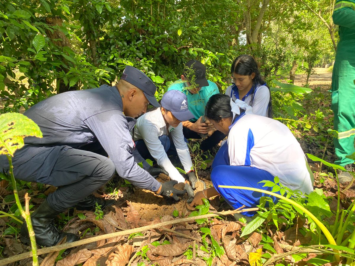 ReservaBR4's tweet photo. Soldados del Batallón de Ingenieros de Desminado Humanitario N.° 3, junto a la Policía del Cesar y la alcaldía de Pailitas, sembraron 1.200 árboles nativos en el Arroyo Hondo, protegiendo la principal fuente hídrica y fomentando cultura ambiental. https://t.co/dmKptVBVth