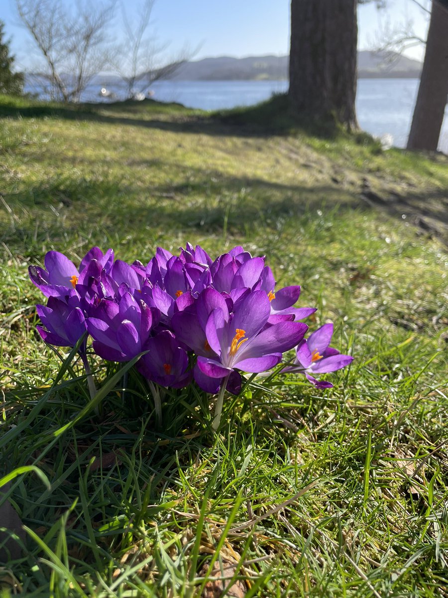 Cumbria Uni English tweet media