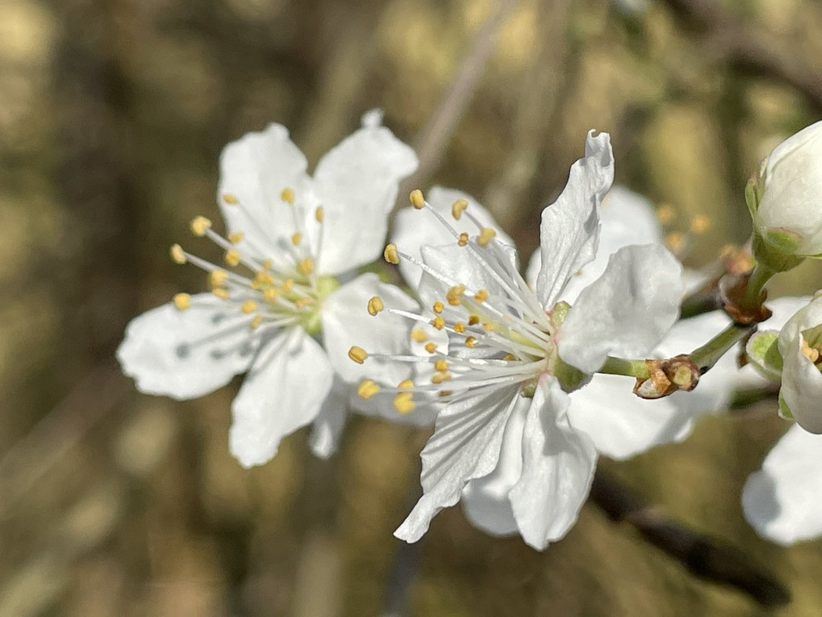 Cumbria Uni English tweet media