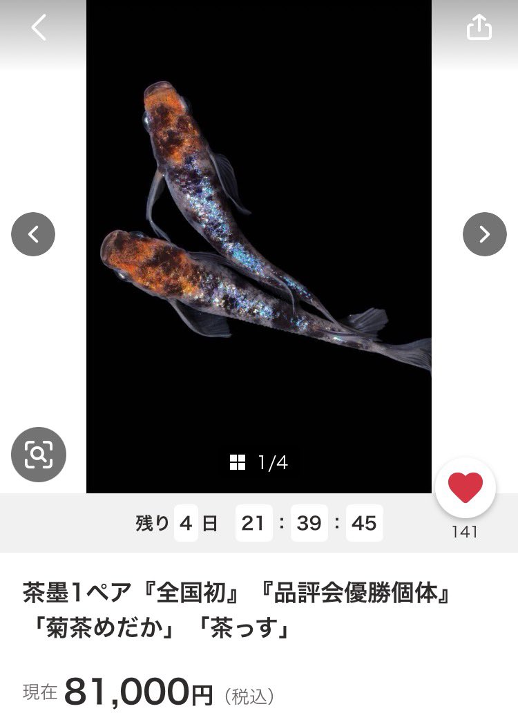 静岡県、菊茶めだかさんの 【茶墨】（読み方は“ちゃす”⁇）が 