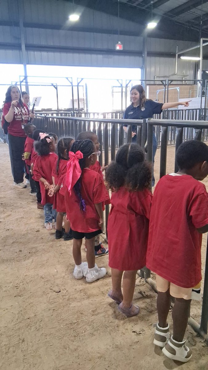 csisdcte's tweet photo. Elementary Day at the @csisd Ag Science Center! 
Ag students and teachers hosted Early Education students at the Ag Barn last Friday. Students learned about the animals that live in the barn, as well as showing pigs, fishing, and archery! #csisdcte https://t.co/J2MV0b3e97