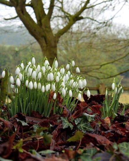 Peggy ☘️ tweet media