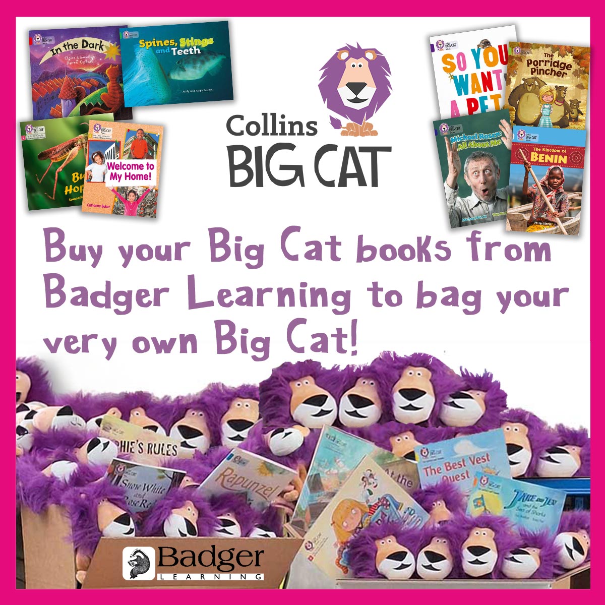 Badger Learning tweet media