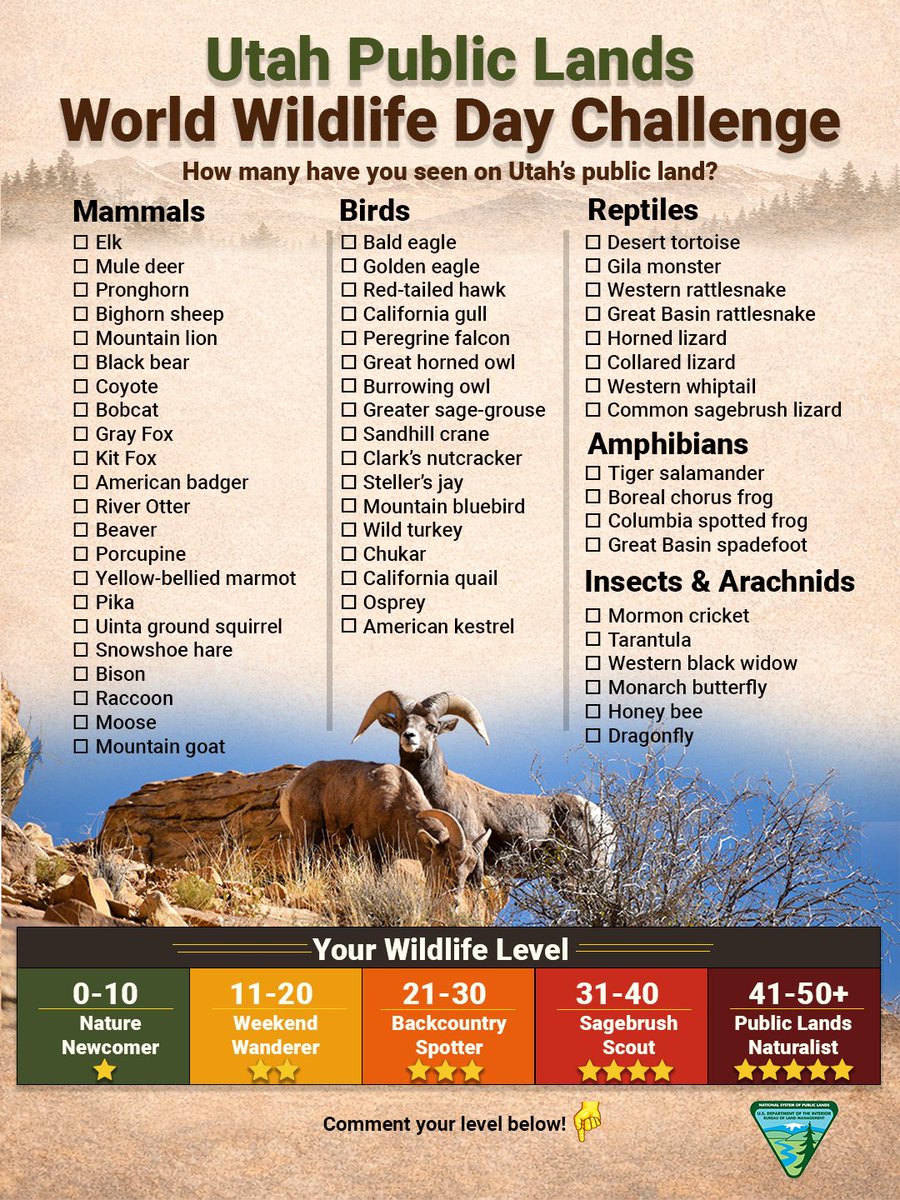 BLM Utah tweet media