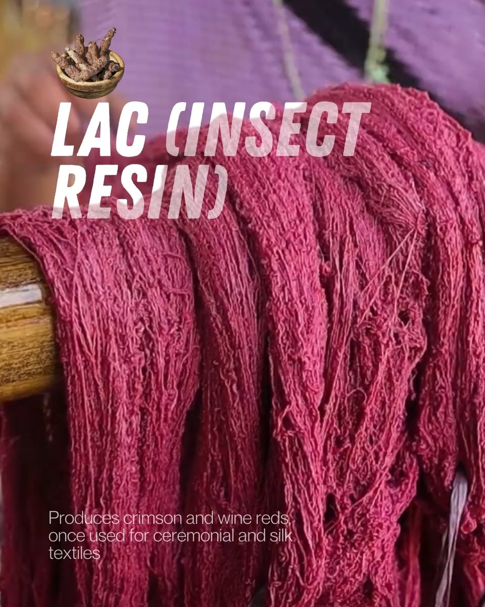 While you celebrate colours this Holi,
handloom preserves them.

#holi #sustainable #Holi2026 #handloom #naturaldyes #handloomheritage #holicelebration