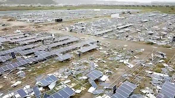 Come again! Bill Gates says he doesn’t  plant trees and it’s ridiculous to say trees can save the planet. What?  So according to Bill only man can save the planet by destroying plant life and making us eat fake food. Climate change lunatics are destroying thousand-year-old olive