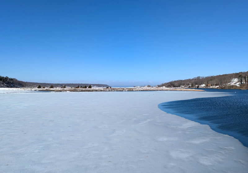 Cold Spring Harbor, in a very literal view: