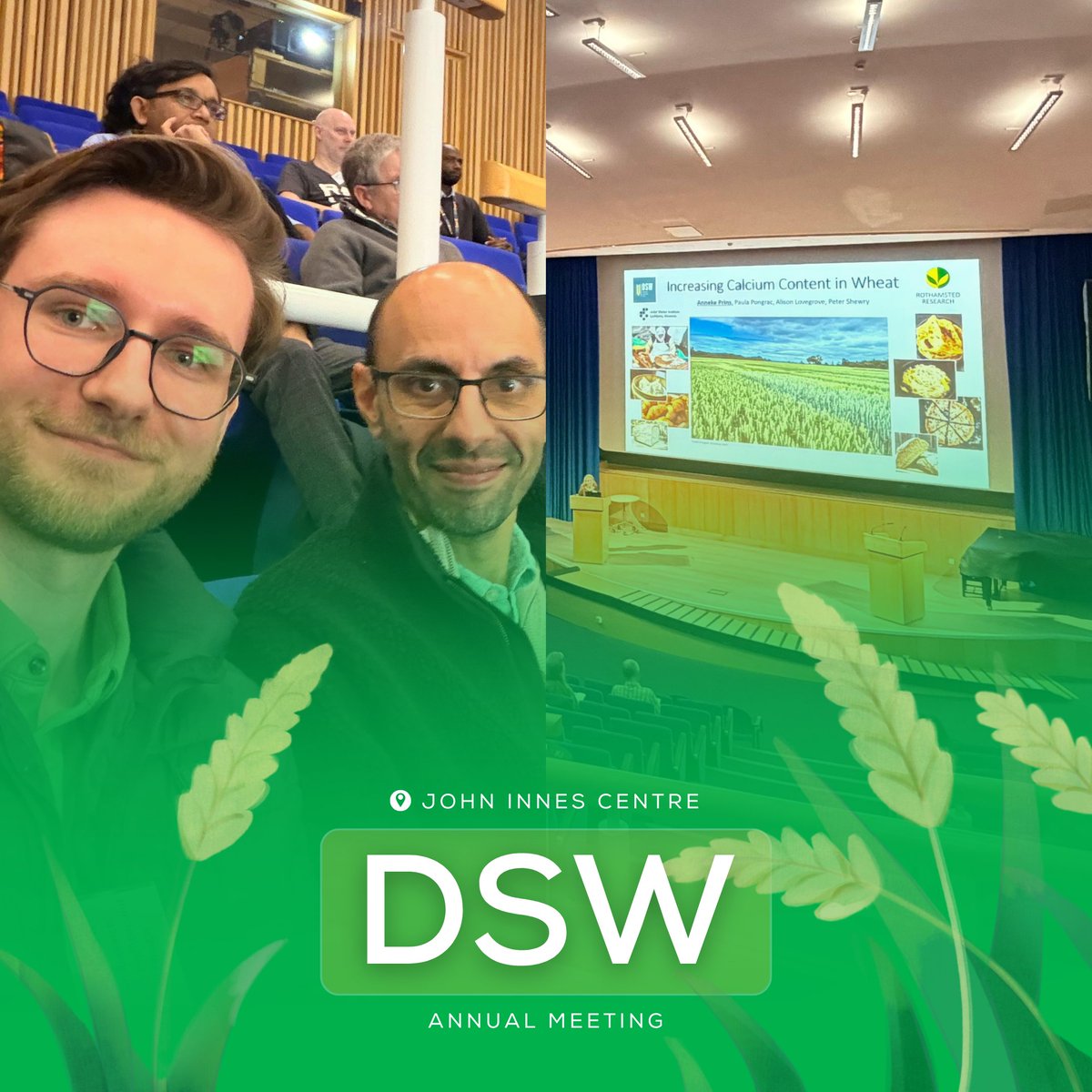 KnetMiner tweet media