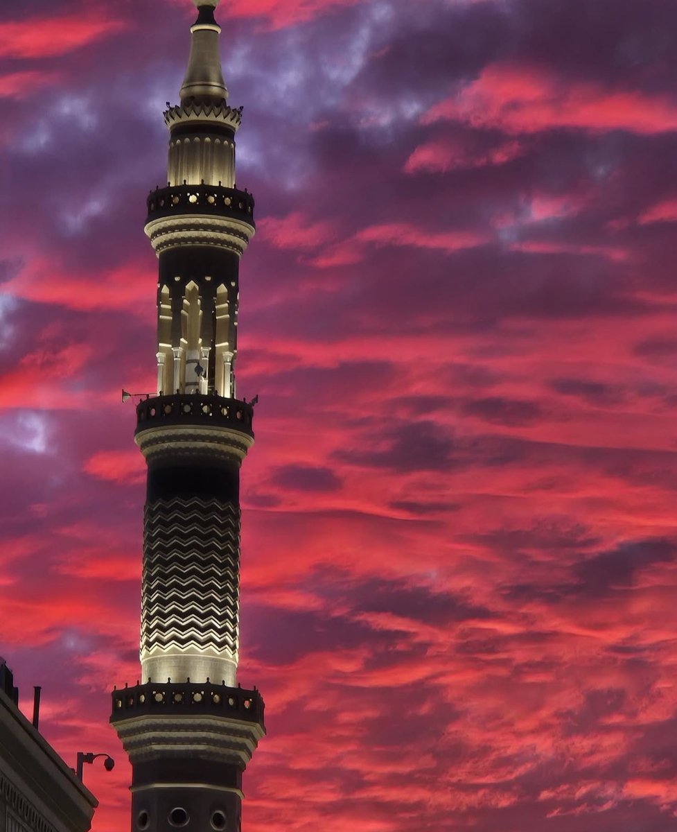 دِفء |🌿 tweet media