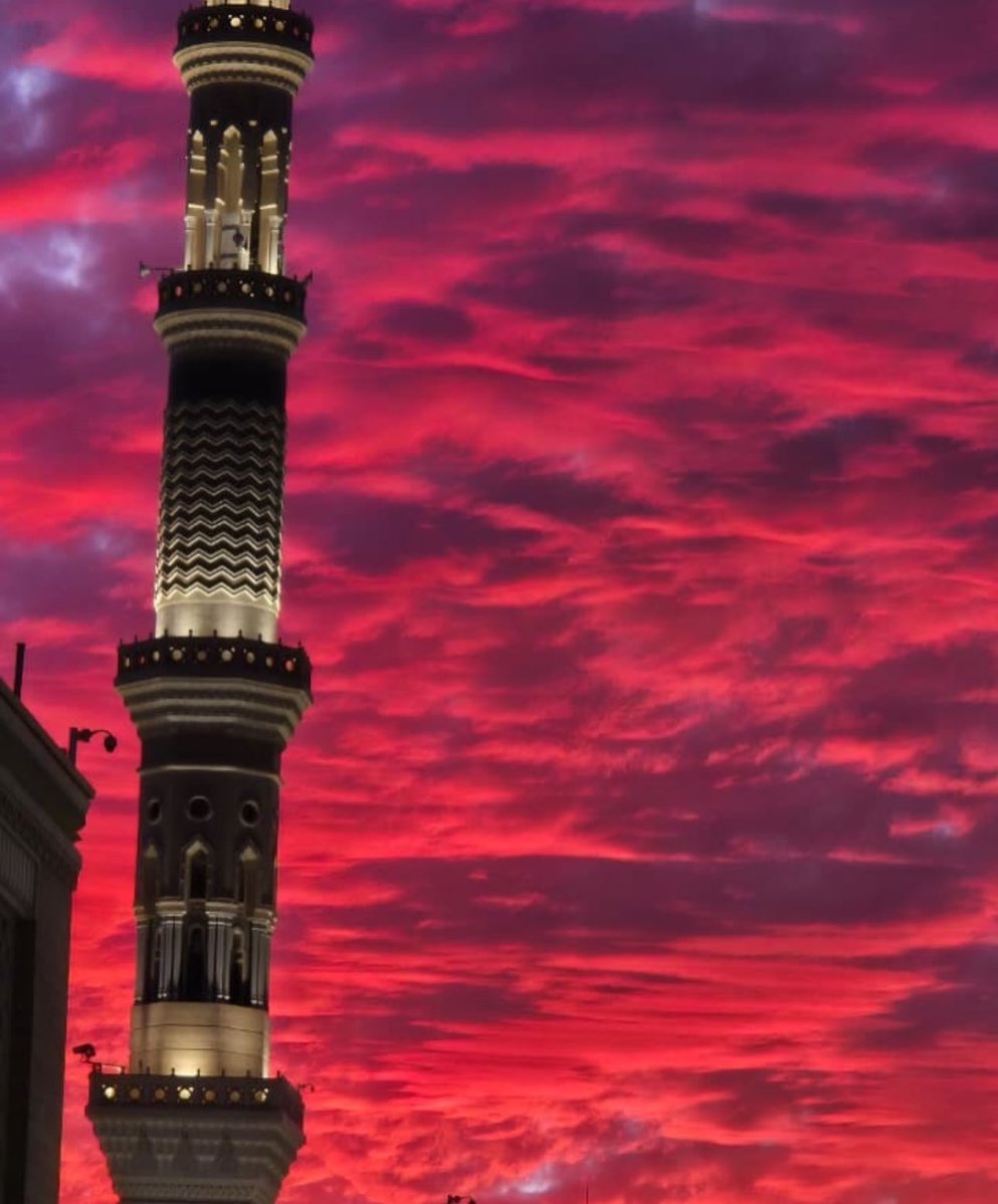 دِفء |🌿 tweet media